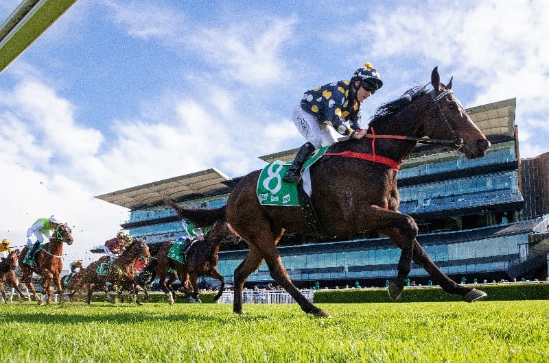 Big Bets Results from 12.06.2021