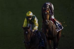 SYDNEY, AUSTRALIA - JUNE 12: Jay Ford (yellow cap) on Adelong wins race 7 the Bob Charley Ao Stakes during Sydney Racing at Royal Randwick Racecourse on June 12, 2021 in Sydney, Australia. (Photo by Jenny Evans/Getty Images)