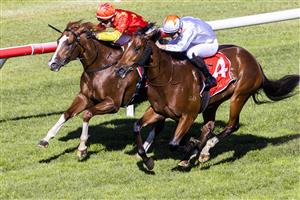 SYDNEY, AUSTRALIA - JUNE 12: Brodie Loy (white) on Verne wins race 1 the Fujitsu General Handicap during Sydney Racing at Royal Randwick Racecourse on June 12, 2021 in Sydney, Australia. (Photo by Jenny Evans/Getty Images)