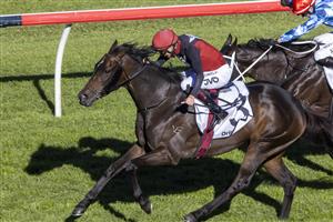 SYDNEY, AUSTRALIA - JUNE 12: Jean Van Overmeire on Seentoomany wins race 5 the Drinkwise Mile during Sydney Racing at Royal Randwick Racecourse on June 12, 2021 in Sydney, Australia. (Photo by Jenny Evans/Getty Images)
