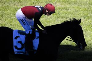 SYDNEY, AUSTRALIA - JUNE 12: Jean Van Overmeire on Seentoomany returns to scale after winning race 5 the Drinkwise Mile during Sydney Racing at Royal Randwick Racecourse on June 12, 2021 in Sydney, Australia. (Photo by Jenny Evans/Getty Images)