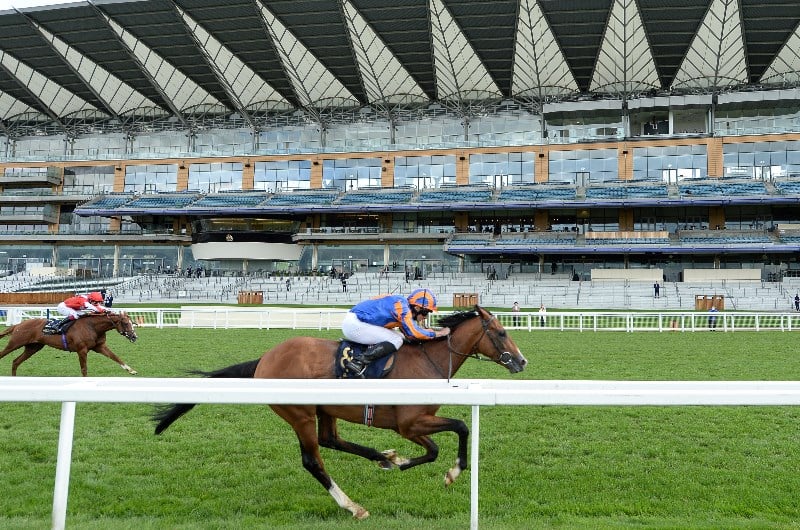 Ryan Moore Megabet