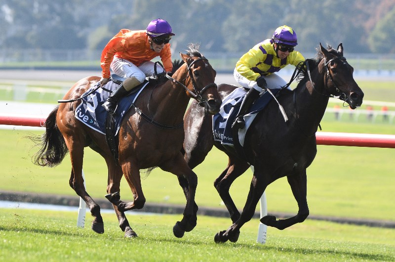 Sandown Betting Tips