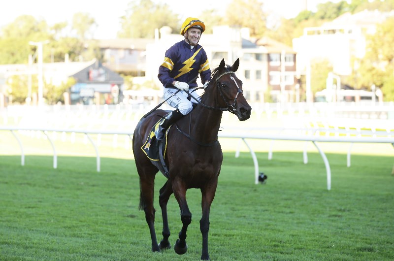 Tatts Tiara Betting Odds