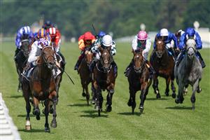 ASCOT, ENGLAND - JUNE 15: Kevin Manning riding Poetic Flare (L, white) easily win The St James's Palace Stakes on day one of the Royal Ascot meeting at Ascot Racecourse on June 15, 2021 in Ascot, England. A total of twelve thousand racegoers made up of owners and the public are permitted to attend the meeting due to it being an Events Research Programme (ERP) set up by the Government due to the Coronavirus pandemic. (Photo by Alan Crowhurst/Getty Images)