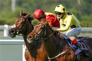 ASCOT, ENGLAND - JUNE 15: Andrea Atzeni riding Juan Elcano (yellow) win The Wolferton Stakes on day one of the Royal Ascot meeting at Ascot Racecourse on June 15, 2021 in Ascot, England. A total of twelve thousand racegoers made up of owners and the public are permitted to attend the meeting due to it being an Events Research Programme (ERP) set up by the Government due to the Coronavirus pandemic. (Photo by Alan Crowhurst/Getty Images)