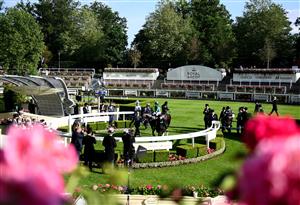 ASCOT, ENGLAND - JUNE 15: Hollie Doyle celebrates on board Amtiyaz after winning the Copper Horse Stakes on Day One of the Royol Ascot Meeting at Ascot Racecourse on June 15, 2021 in Ascot, England. A total of twelve thousand racegoers made up of Owners and the Public are permitted to attend the meeting due to it being an Events Research Programme (ERP) set up by the government due to the Coronavirus Pandemic. (Photo by Harry Trump/Getty Images)
