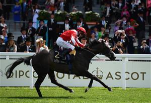 ASCOT, ENGLAND - JUNE 15: Oisin Murphy on board Berkshire Shadow after winning the Coventry Stakes on Day One of the Royol Ascot Meeting at Ascot Racecourse on June 15, 2021 in Ascot, England. A total of twelve thousand racegoers made up of Owners and the Public are permitted to attend the meeting due to it being an Events Research Programme (ERP) set up by the government due to the Coronavirus Pandemic. (Photo by Harry Trump/Getty Images)