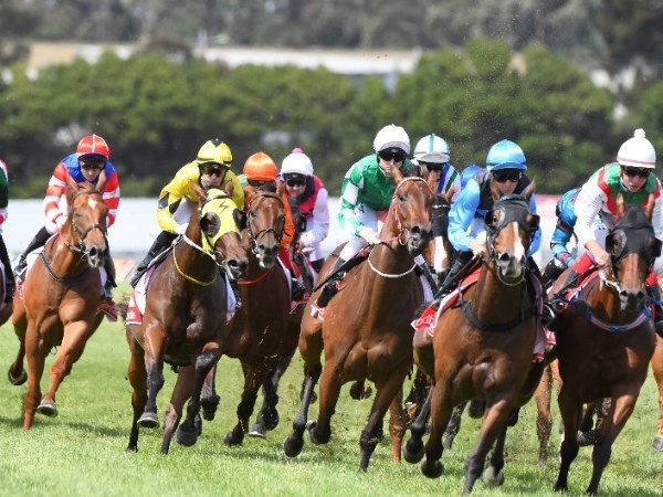 Northam tips for 18.06.2020