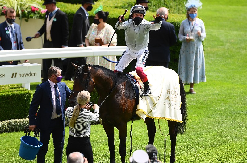 frankie dettori megabet