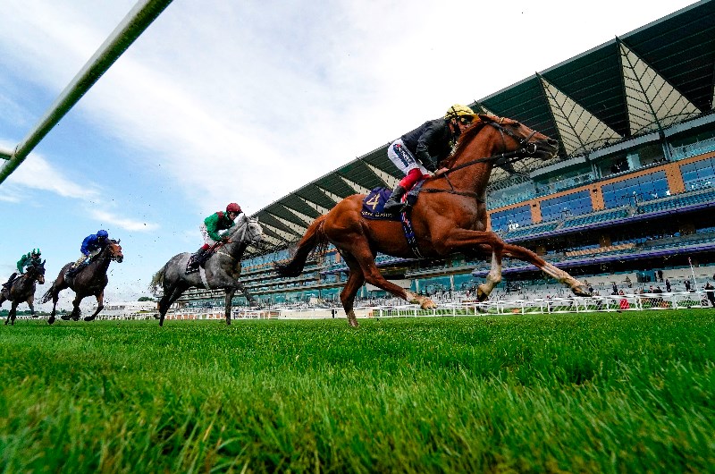 stradivarius royal ascot