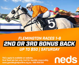 Neds Flemington