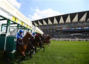 ASCOT, ENGLAND - JUNE 16: Genral view at the start of the Queen's Vase on Day Two of the Royal Ascot Meeting at Ascot Racecourse on June 16, 2021 in Ascot, England. A total of twelve thousand racegoers made up of Owners and the Public are permitted to attend the meeting due to it being an Events Research Programme (ERP) set up by the government due to the Coronavirus Pandemic. (Photo by Harry Trump/Getty Images)