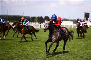 ASCOT, ENGLAND - JUNE 16: Frankie Dettori on board Indie Angel on their way to winning the Queen's Vase on Day Two of the Royal Ascot Meeting at Ascot Racecourse on June 16, 2021 in Ascot, England. A total of twelve thousand racegoers made up of Owners and the Public are permitted to attend the meeting due to it being an Events Research Programme (ERP) set up by the government due to the Coronavirus Pandemic. (Photo by Harry Trump/Getty Images)