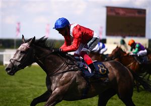 ASCOT, ENGLAND - JUNE 16: Frankie Dettori on board Indie Angel on their way to winning the Queen's Vase on Day Two of the Royal Ascot Meeting at Ascot Racecourse on June 16, 2021 in Ascot, England. A total of twelve thousand racegoers made up of Owners and the Public are permitted to attend the meeting due to it being an Events Research Programme (ERP) set up by the government due to the Coronavirus Pandemic. (Photo by Harry Trump/Getty Images)