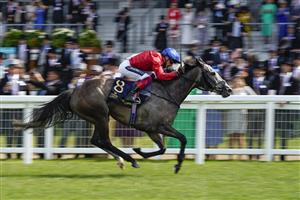 ASCOT, ENGLAND - JUNE 16: Frankie Dettori riding Indie Angel win The Duke Of Cambridge Stakes on Day Two of the Royal Ascot Meeting at Ascot Racecourse on June 16, 2021 in Ascot, England. A total of twelve thousand racegoers made up of owners and the public are permitted to attend the meeting due to it being an Events Research Programme (ERP) set up by the Government due to the Coronavirus pandemic. (Photo by Alan Crowhurst/Getty Images)