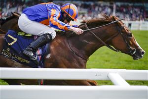 ASCOT, ENGLAND - JUNE 16: Ryan Moore riding Love win The Prince Of Wales's Stakes on Day Two of the Royal Ascot Meeting at Ascot Racecourse on June 16, 2021 in Ascot, England. A total of twelve thousand racegoers made up of owners and the public are permitted to attend the meeting due to it being an Events Research Programme (ERP) set up by the Government due to the Coronavirus pandemic. (Photo by Alan Crowhurst/Getty Images)