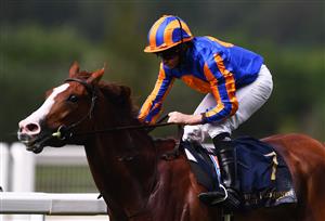 ASCOT, ENGLAND - JUNE 16: Ryan Moore on board Love on their way to winning the Prince of Wales's Stakes on Day Two of the Royal Ascot Meeting at Ascot Racecourse on June 16, 2021 in Ascot, England. A total of twelve thousand racegoers made up of Owners and the Public are permitted to attend the meeting due to it being an Events Research Programme (ERP) set up by the government due to the Coronavirus Pandemic. (Photo by Harry Trump/Getty Images)