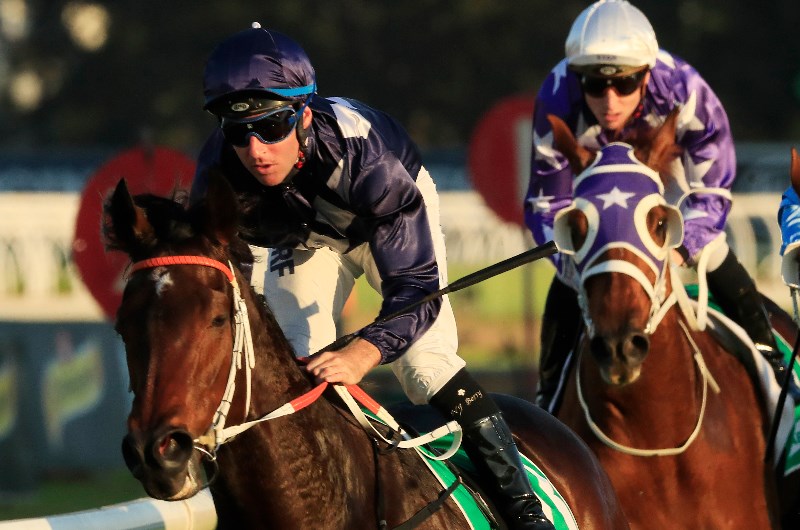 Ipswich Betting Tips