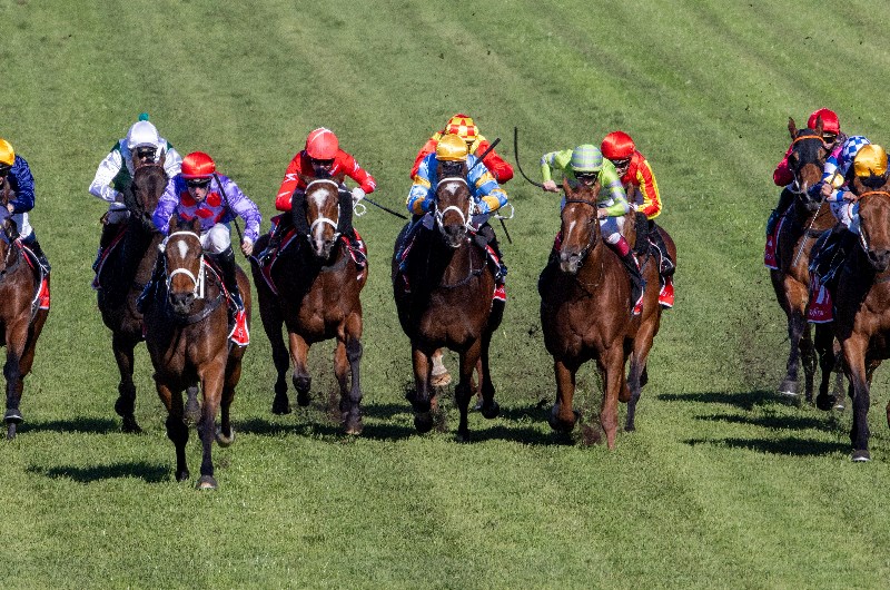 Rosehill Tips for 19.06.2021