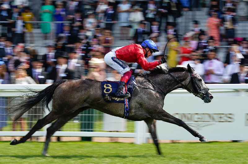 frankie dettori megabet 2