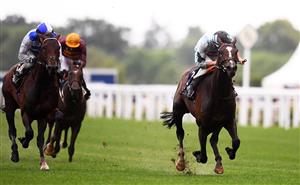ASCOT, ENGLAND - JUNE 18: Tom Marquand on board Alenquer on their way to winning the King Edward VII Stakes on Day Four of the Royal Ascot Meeting at Ascot Racecourse on June 18, 2021 in Ascot, England. A total of twelve thousand racegoers made up of Owners and the Public are permitted to attend the meeting due to it being an Events Research Programme (ERP) set up by the government due to the Coronavirus Pandemic. (Photo by Harry Trump/Getty Images)