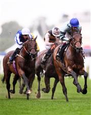 ASCOT, ENGLAND - JUNE 18: Oisin Murphy on board Quickthorn on their way to winning the Duke of Edinburgh Stakes on Day Four of the Royal Ascot Meeting at Ascot Racecourse on June 18, 2021 in Ascot, England. A total of twelve thousand racegoers made up of Owners and the Public are permitted to attend the meeting due to it being an Events Research Programme (ERP) set up by the government due to the Coronavirus Pandemic. (Photo by Harry Trump/Getty Images)