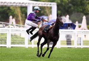 ASCOT, ENGLAND - JUNE 18: Oisin Murphy is unseated from Alcohol Free after winning the Coronation Stakes on Day Four of the Royal Ascot Meeting at Ascot Racecourse on June 18, 2021 in Ascot, England. A total of twelve thousand racegoers made up of Owners and the Public are permitted to attend the meeting due to it being an Events Research Programme (ERP) set up by the government due to the Coronavirus Pandemic. (Photo by Harry Trump/Getty Images)