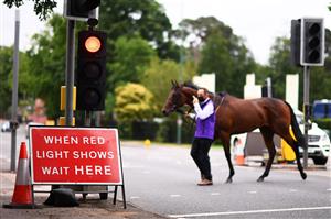 ASCOT, ENGLAND - JUNE 19: A runner crosses the road outside of the course ahead of the Chesham Stakes on Day Five of the Royal Ascot Meeting at Ascot Racecourse on June 19, 2021 in Ascot, England. A total of twelve thousand racegoers made up of Owners and the Public are permitted to attend the meeting due to it being an Events Research Programme (ERP) set up by the government due to the Coronavirus Pandemic. (Photo by Harry Trump/Getty Images) (Photo by Harry Trump/Getty Images)