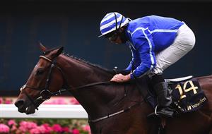 ASCOT, ENGLAND - JUNE 19: Ryan Moore on board Stratum on their way to winning the Queen Alexandra Stakes on Day Five of the Royal Ascot Meeting at Ascot Racecourse on June 19, 2021 in Ascot, England. A total of twelve thousand racegoers made up of Owners and the Public are permitted to attend the meeting due to it being an Events Research Programme (ERP) set up by the government due to the Coronavirus Pandemic. (Photo by Harry Trump/Getty Images) (Photo by Harry Trump/Getty Images)