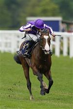 ASCOT, ENGLAND - JUNE 19: Ryan Moore riding Point Lonsdale win The Chesham Stakes on Day Five of the Royal Ascot Meeting at Ascot Racecourse on June 19, 2021 in Ascot, England. A total of twelve thousand racegoers made up of owners and the public are permitted to attend the meeting due to it being an Events Research Programme (ERP) set up by the Government due to the Coronavirus pandemic. (Photo by Alan Crowhurst/Getty Images)