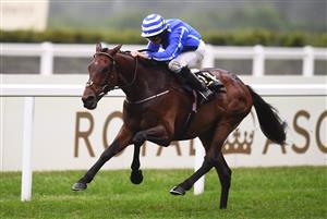 ASCOT, ENGLAND - JUNE 19: Ryan Moore on board Stratum on their way to winning the Queen Alexandra Stakes on Day Five of the Royal Ascot Meeting at Ascot Racecourse on June 19, 2021 in Ascot, England. A total of twelve thousand racegoers made up of Owners and the Public are permitted to attend the meeting due to it being an Events Research Programme (ERP) set up by the government due to the Coronavirus Pandemic. (Photo by Harry Trump/Getty Images) (Photo by Harry Trump/Getty Images)
