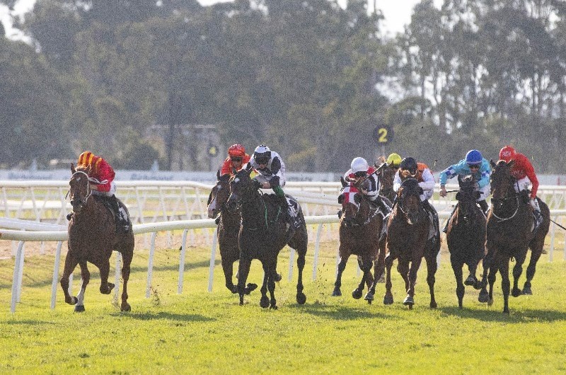 Hawkesbury Tips for 04.05.2021