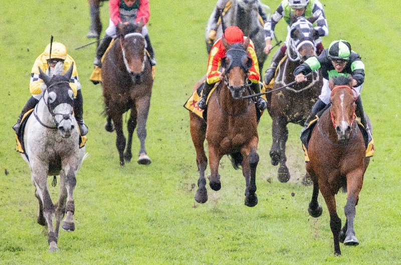 rosehill race 7