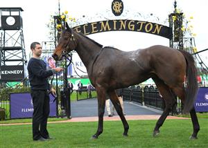 MELBOURNE, AUSTRALIA - JUNE 19: Degraves after winning race 5, the The David Bourke, during Melbourne Racing at Flemington Racecourse on June 19, 2021 in Melbourne, Australia. (Photo by Vince Caligiuri/Getty Images)