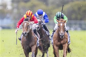 SYDNEY, AUSTRALIA - JUNE 19: Jason Collett (red)on Magic Ruler wins race 5 The Agency Real Estate Handicap during Sydney Racing at Rosehill Gardens on June 19, 2021 in Sydney, Australia. (Photo by Jenny Evans/Getty Images)