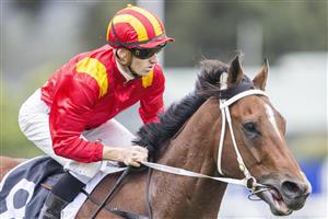 SYDNEY, AUSTRALIA - JUNE 19: Jason Collett (red)on Magic Ruler returns to scale after winning race 5 The Agency Real Estate Handicap during Sydney Racing at Rosehill Gardens on June 19, 2021 in Sydney, Australia. (Photo by Jenny Evans/Getty Images)