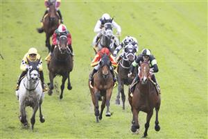SYDNEY, AUSTRALIA - JUNE 19: Sam Clipperton on Stockman wins race 7 the XXXX W J Mckell Cup during Sydney Racing at Rosehill Gardens on June 19, 2021 in Sydney, Australia. (Photo by Jenny Evans/Getty Images)