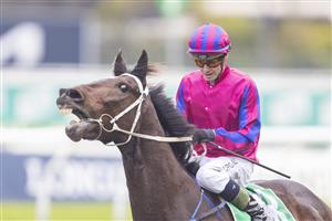 SYDNEY, AUSTRALIA - JUNE 19: Mathew Cahill on Catanzaro wins race 3 the Tab Highway Class 3 Handicap during Sydney Racing at Rosehill Gardens on June 19, 2021 in Sydney, Australia. (Photo by Jenny Evans/Getty Images)