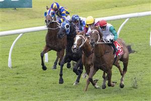SYDNEY, AUSTRALIA - JUNE 19: Brenton Avdulla (red cap) on Wicklow wins race 2 the Sharp Extensive It Handicap during Sydney Racing at Rosehill Gardens on June 19, 2021 in Sydney, Australia. (Photo by Jenny Evans/Getty Images)