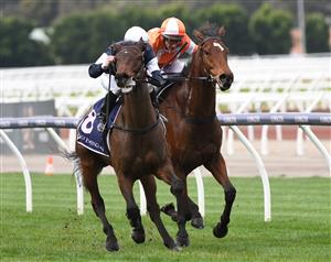 MELBOURNE, AUSTRALIA - JUNE 19: Will Price riding Degraves defeats Damien Oliver riding Think