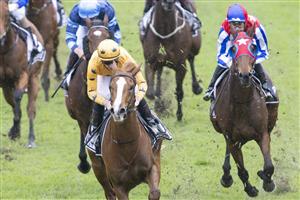 SYDNEY, AUSTRALIA - JUNE 19: James McDonald on Royalzel wins race 1 the E Group Security Handicap during Sydney Racing at Rosehill Gardens on June 19, 2021 in Sydney, Australia. (Photo by Jenny Evans/Getty Images)