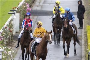 SYDNEY, AUSTRALIA - JUNE 19: James McDonald on Royalzel returns to scale after winning race 1 the E Group Security Handicap during Sydney Racing at Rosehill Gardens on June 19, 2021 in Sydney, Australia. (Photo by Jenny Evans/Getty Images)