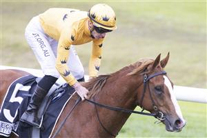 SYDNEY, AUSTRALIA - JUNE 19: James McDonald on Royalzel returns to scale after winning race 1 the E Group Security Handicap during Sydney Racing at Rosehill Gardens on June 19, 2021 in Sydney, Australia. (Photo by Jenny Evans/Getty Images)
