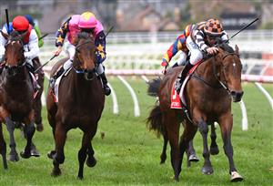 MELBOURNE, AUSTRALIA - JUNE 01: Dwayne Dunn riding The Astrologist (r) defeats Jamie Mott riding Can