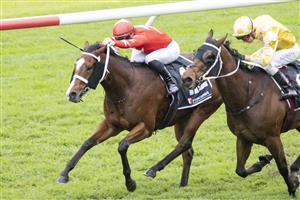 SYDNEY, AUSTRALIA - JUNE 19: Kerrin McEvoy (yellow) on Papal Warrier wins race 6 the Ranvet Handicap during Sydney Racing at Rosehill Gardens on June 19, 2021 in Sydney, Australia. (Photo by Jenny Evans/Getty Images)