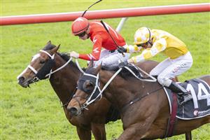 SYDNEY, AUSTRALIA - JUNE 19: Kerrin McEvoy (yellow) on Papal Warrier wins race 6 the Ranvet Handicap during Sydney Racing at Rosehill Gardens on June 19, 2021 in Sydney, Australia. (Photo by Jenny Evans/Getty Images)