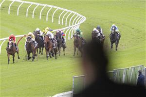 SYDNEY, AUSTRALIA - JUNE 19: Kerrin McEvoy (yellow) on Papal Warrier wins race 6 the Ranvet Handicap during Sydney Racing at Rosehill Gardens on June 19, 2021 in Sydney, Australia. (Photo by Jenny Evans/Getty Images)