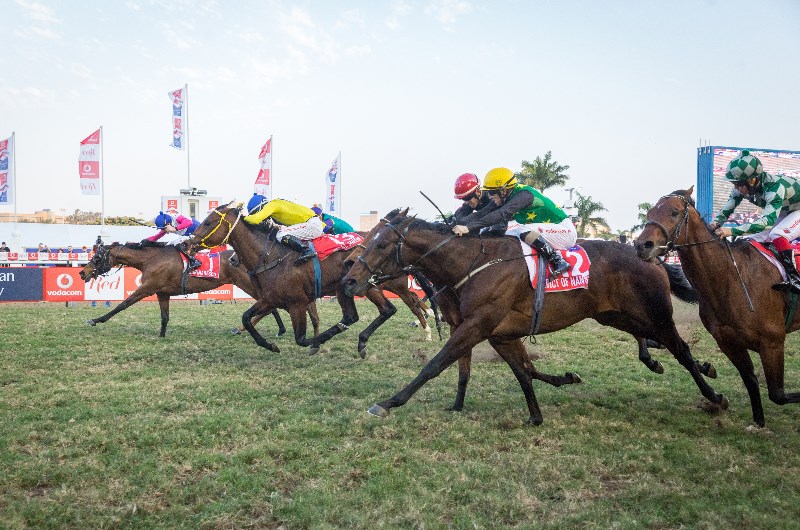 durban july greyville