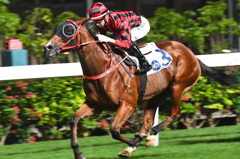 Get 6 50 For Joao Moreira To Ride 3 Winners At Happy Valley Get 6 50 For Joao Moreira To Ride 3 Winners At Happy Valley